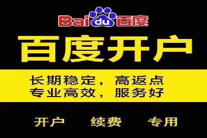 百度优化推广全解析：从零到一的流量增长